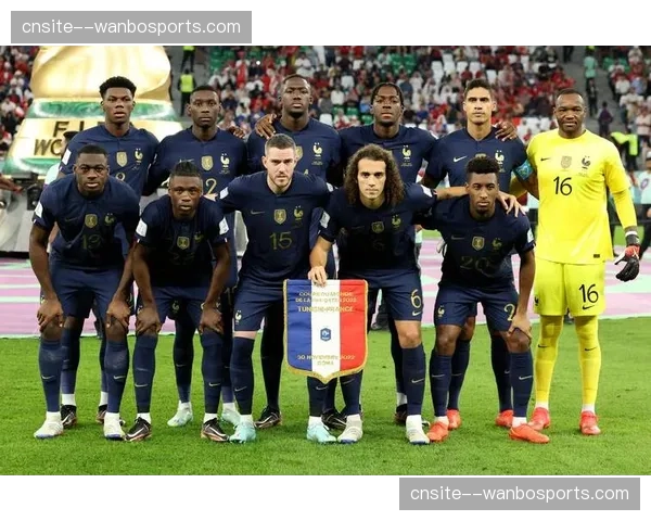 突尼斯卡德里身体对抗优势，上届击败法国爆冷心理暗示